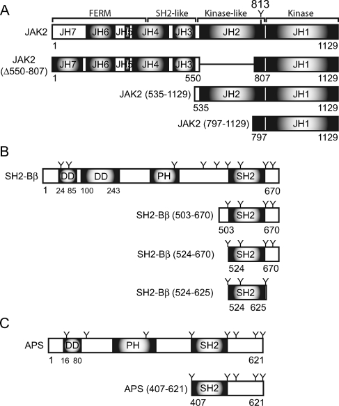 FIG. 1.