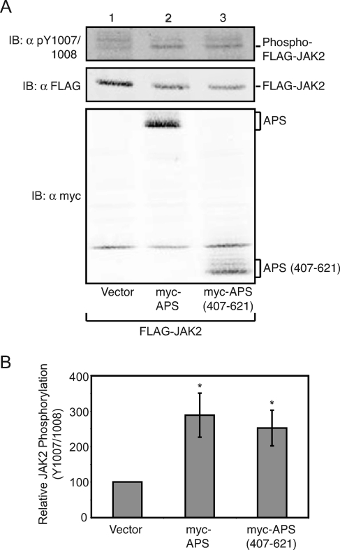 FIG. 5.