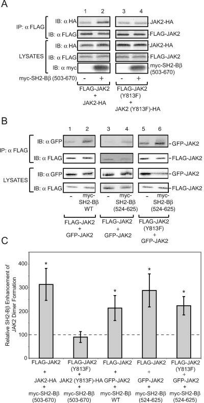 FIG. 7.