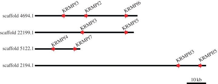 Figure 3.