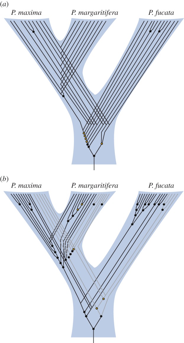 Figure 6.