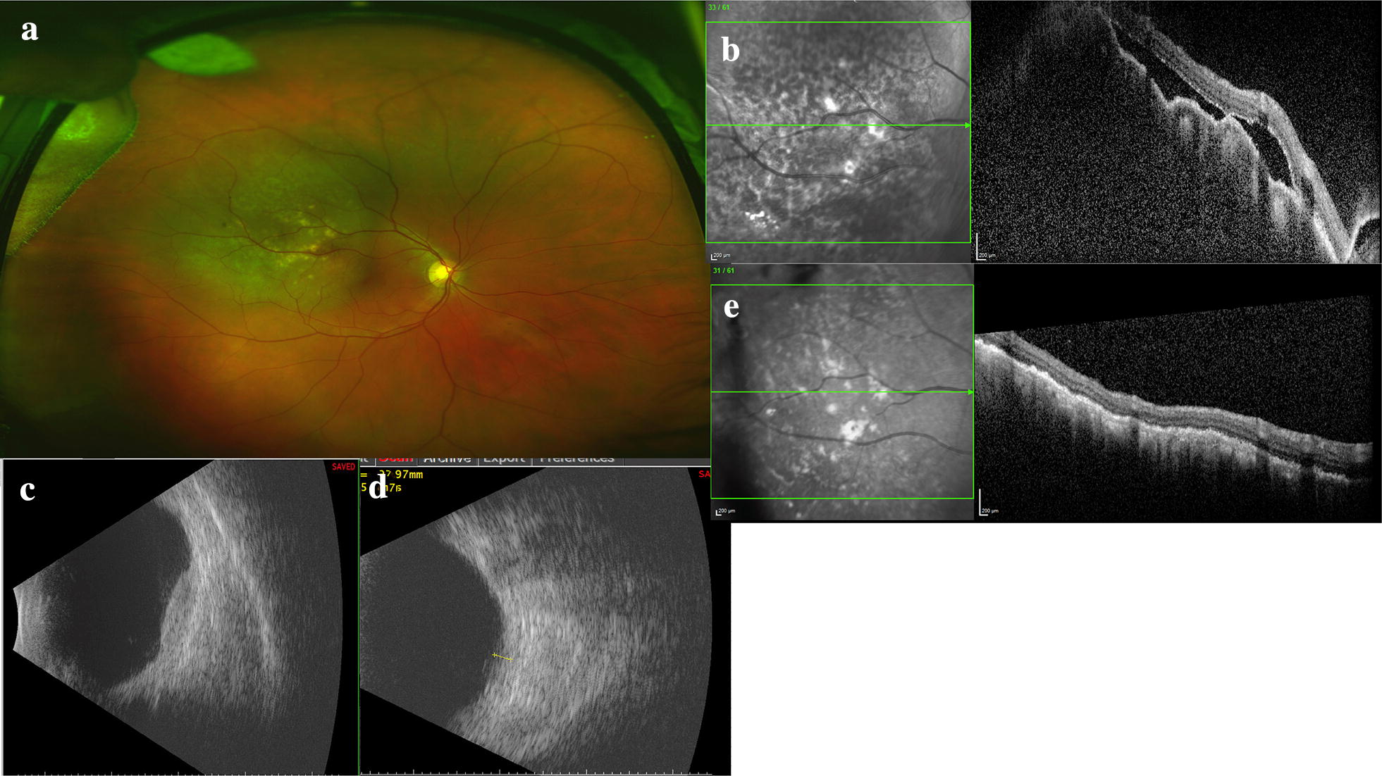 Fig. 8