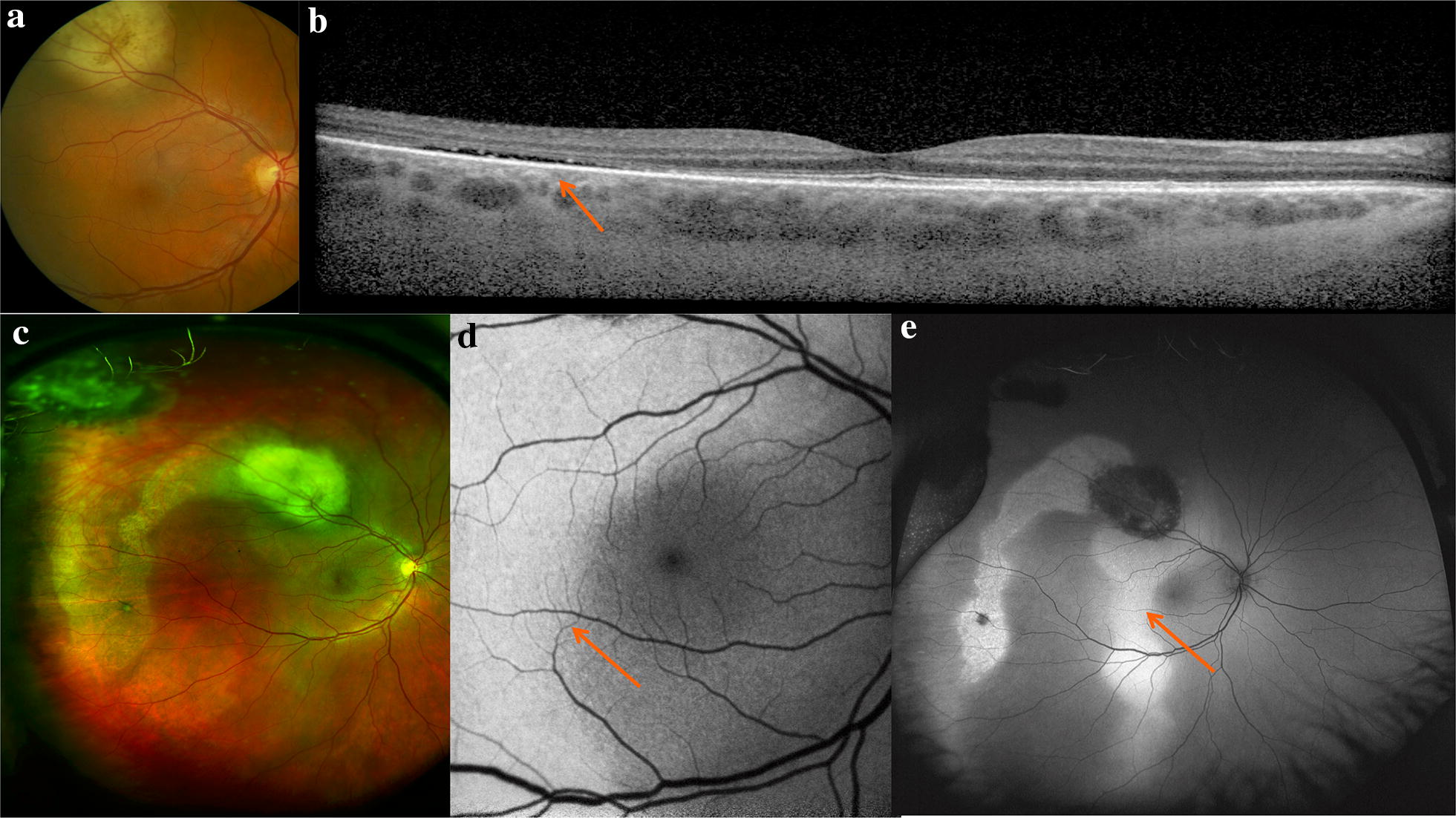 Fig. 6