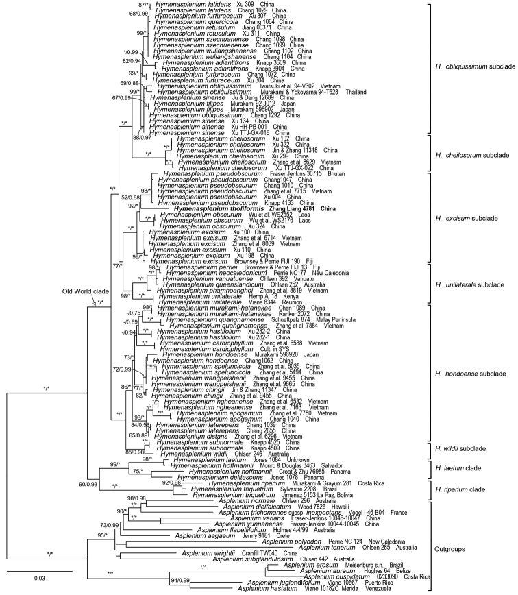 Figure 2.