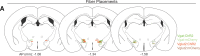 Figure 3—figure supplement 1.