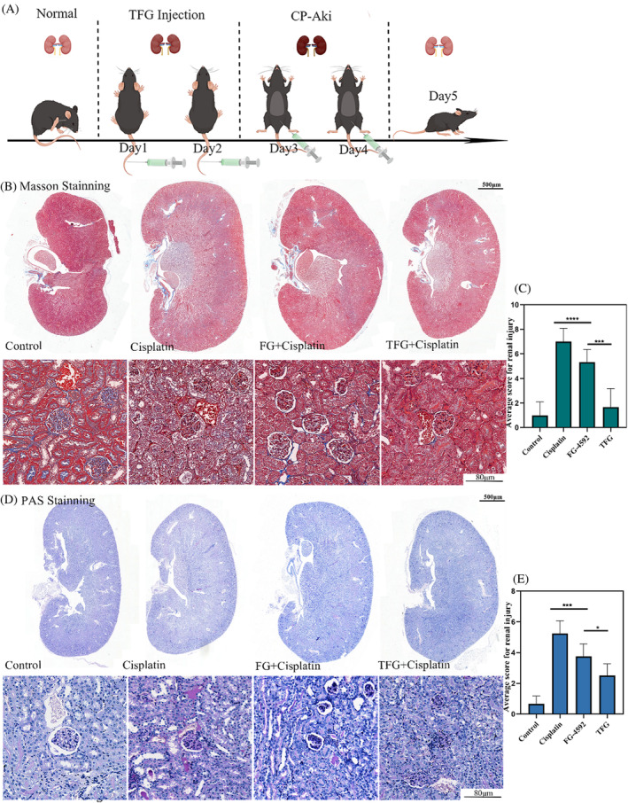 FIGURE 4