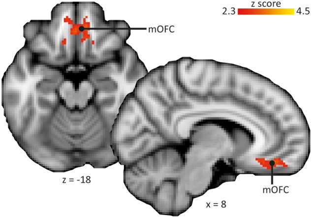 Fig. 4.