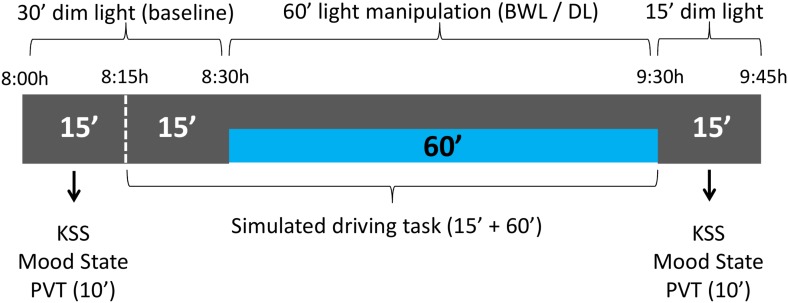 FIGURE 3