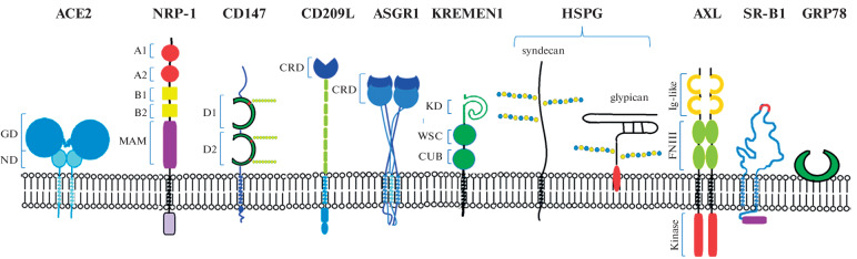 Fig. 1. 