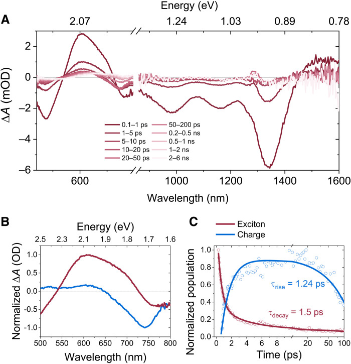 Fig. 4.