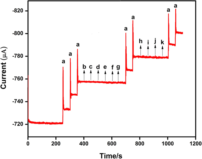 Figure 11