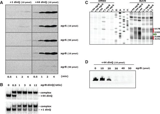 FIGURE 4.