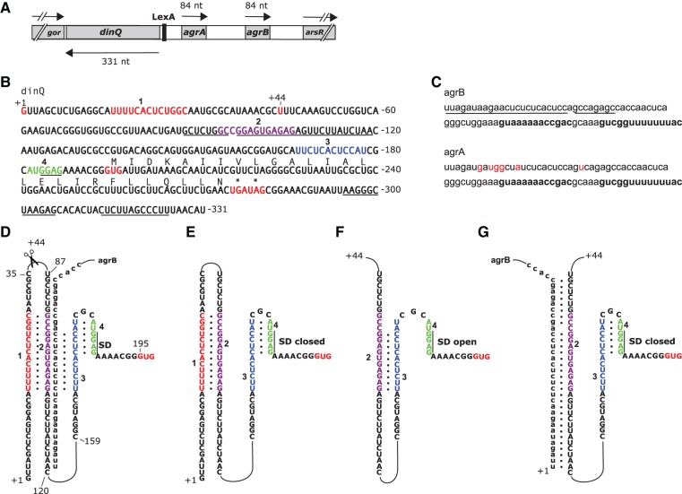 FIGURE 1.