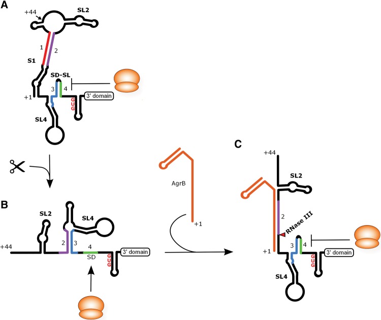 FIGURE 6.