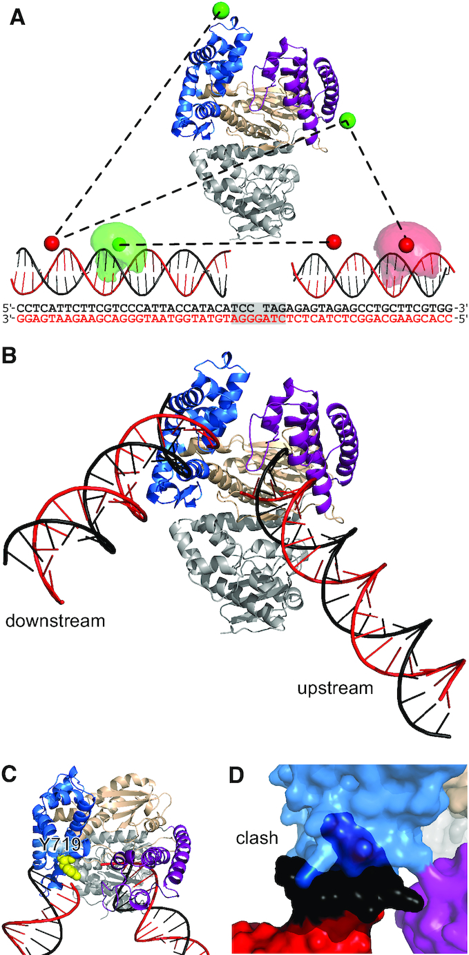 Figure 2.