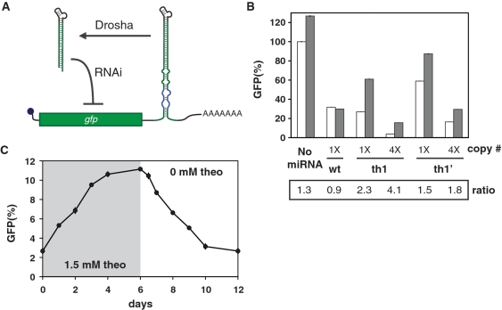 Figure 6.