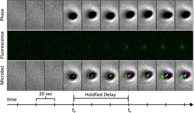 FIG 3