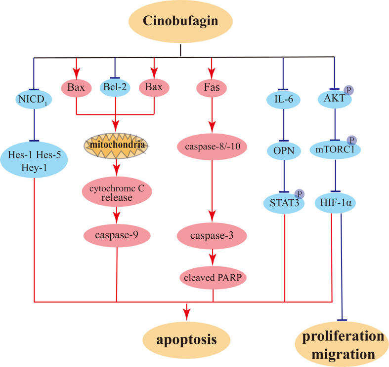 Figure 6