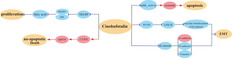 Figure 5