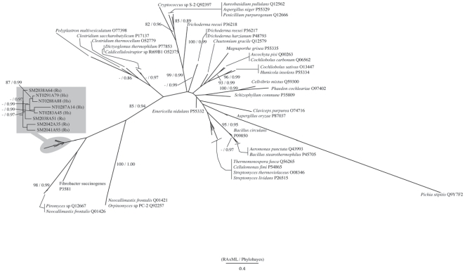 Figure 6