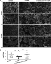 FIG 6