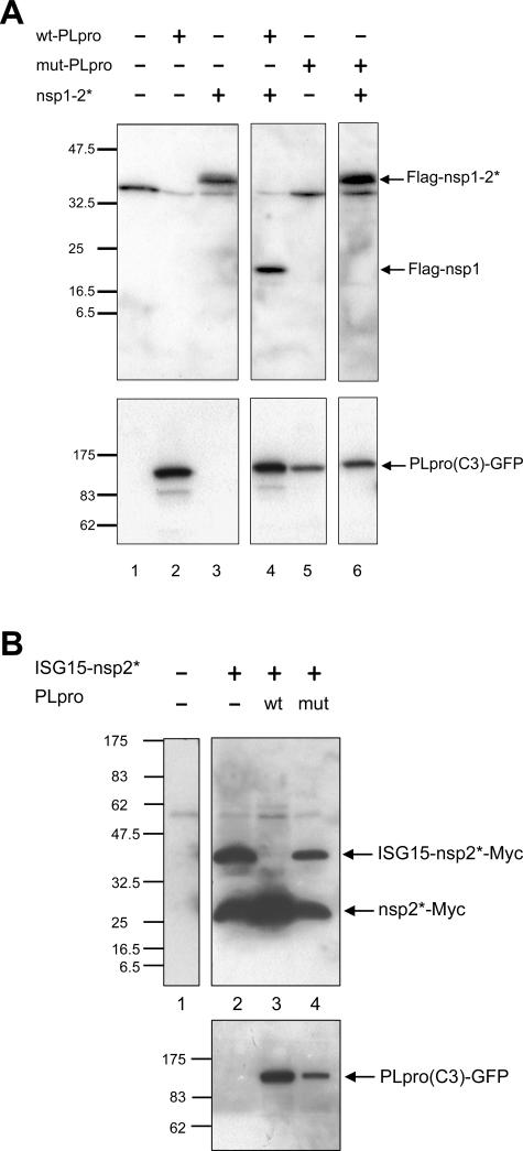 FIG. 7.