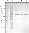 FIG. 3.