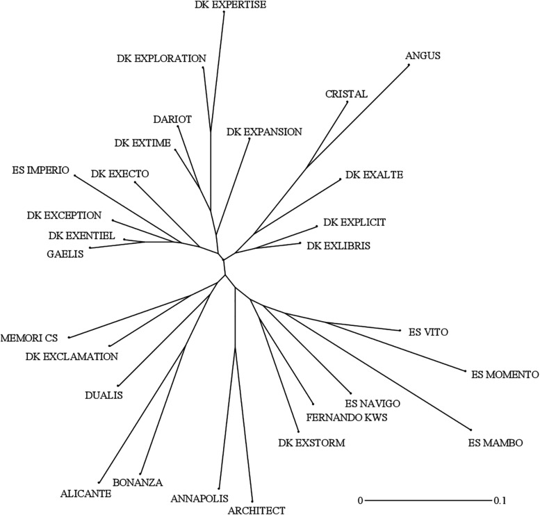 FIGURE 6