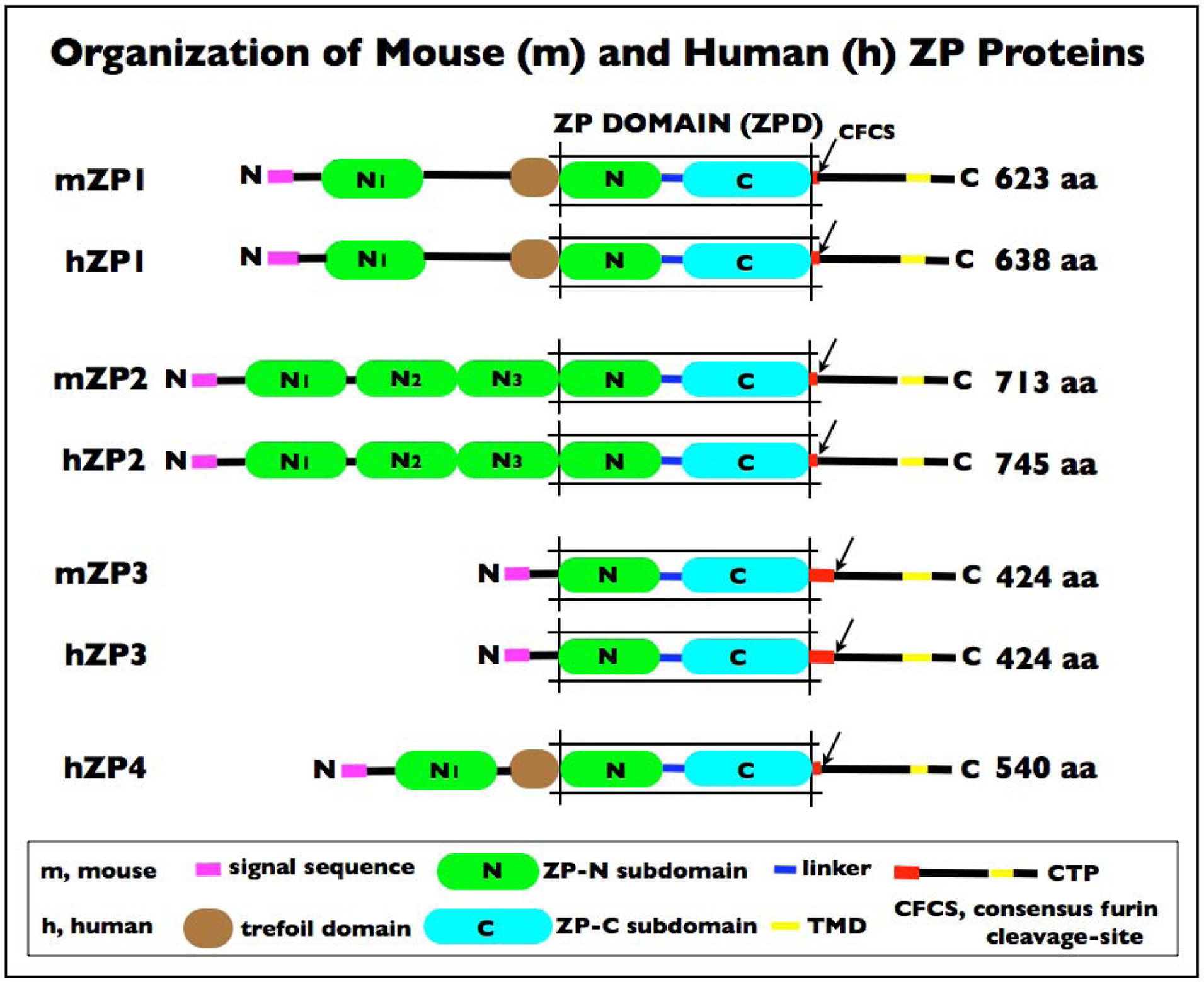 Figure 3.