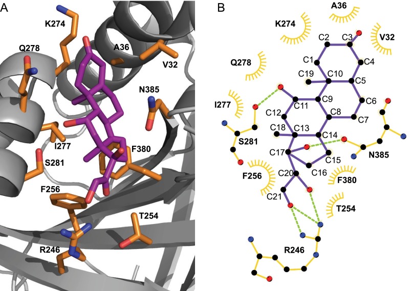 FIGURE 7.