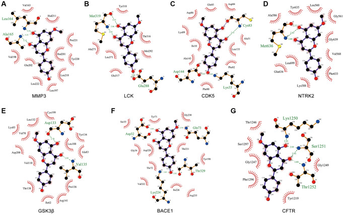 Figure 7