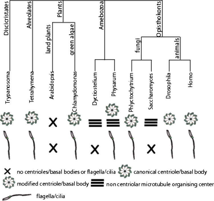 Fig. 2