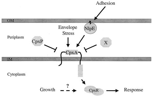 FIG. 7.