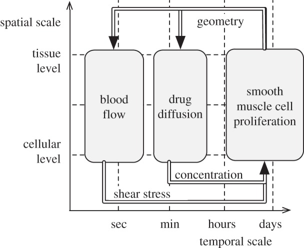 Figure 7.