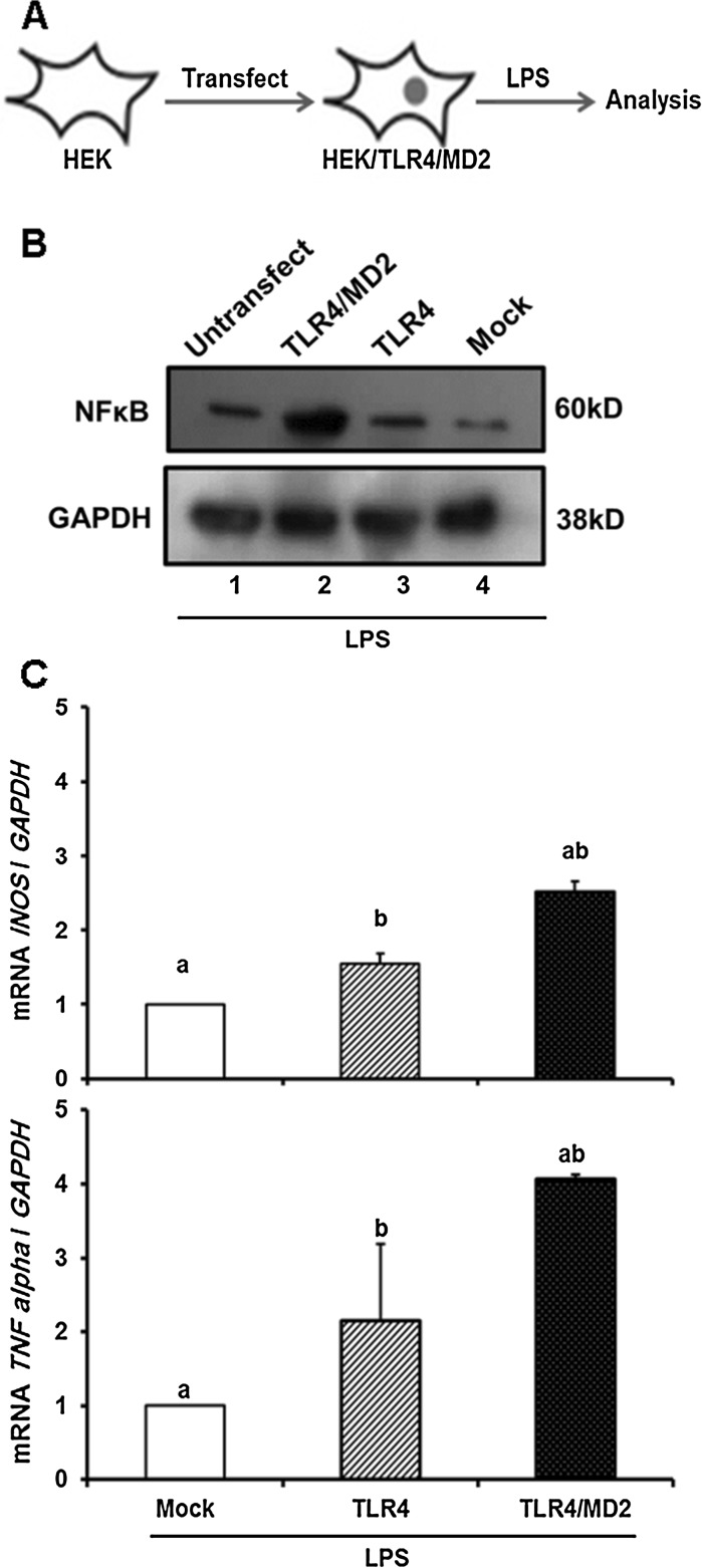 Fig. 4