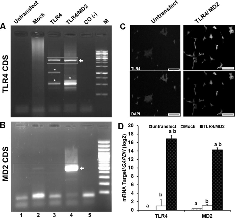 Fig. 2