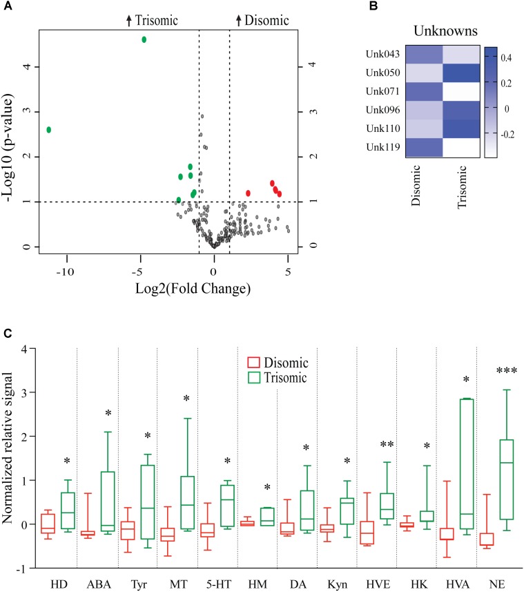 FIGURE 3