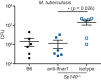 Figure 5—figure supplement 1.