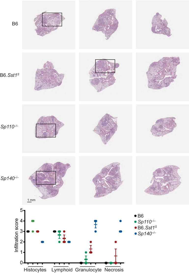 Figure 2—figure supplement 2.