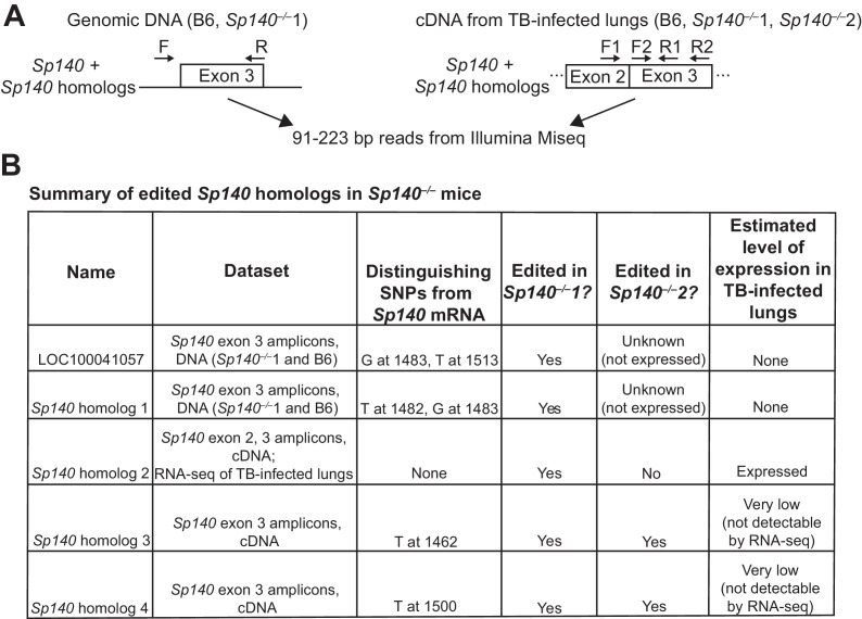 Figure 2—figure supplement 3.