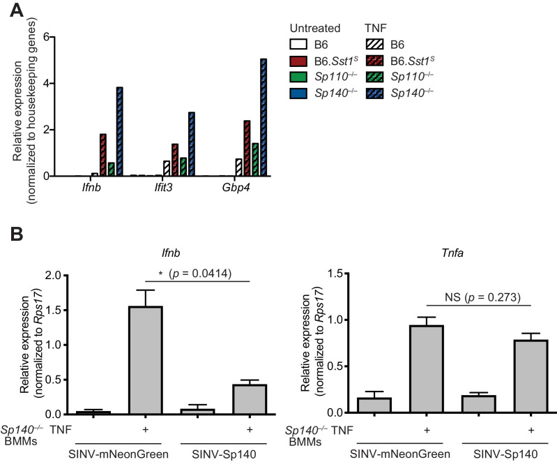 Figure 2—figure supplement 4.