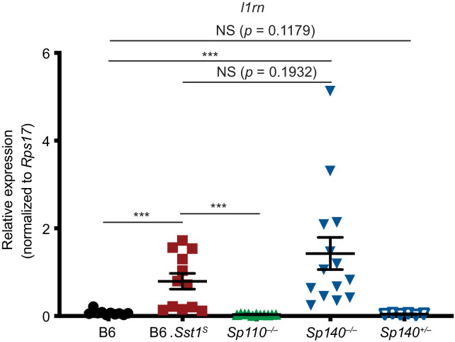 Figure 4—figure supplement 1.