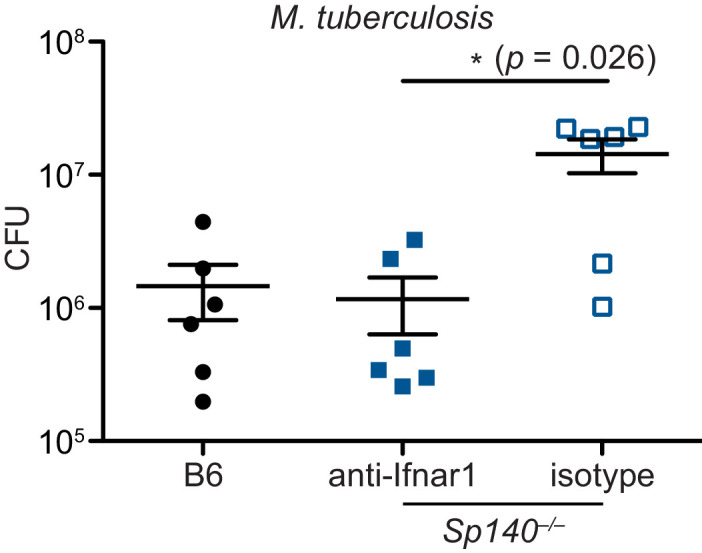 Figure 5—figure supplement 1.