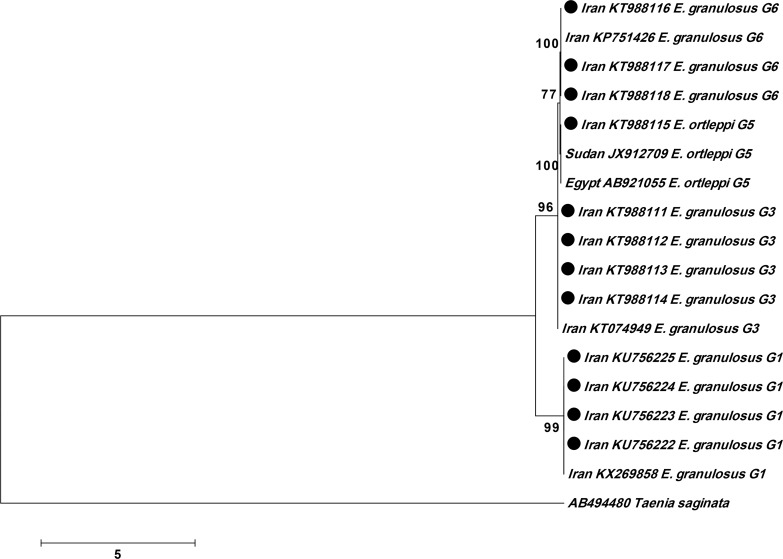 Fig. 1:
