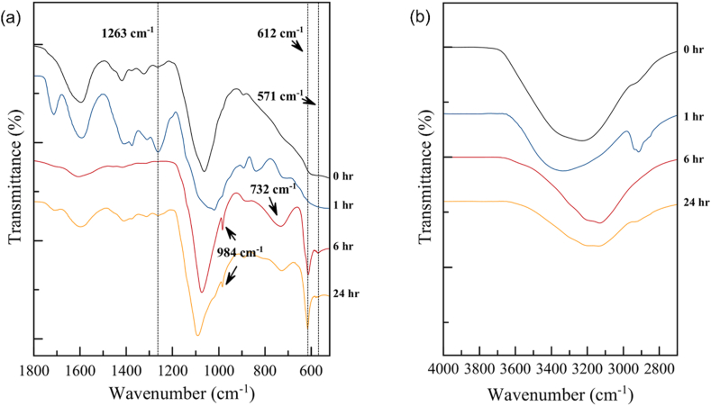 Figure 7