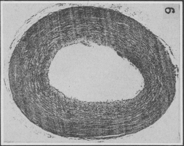 Fig. 9