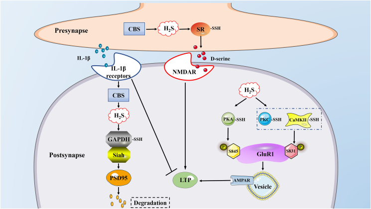 Figure 3