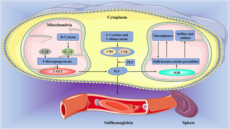 Figure 1