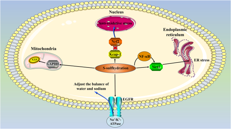 Figure 4