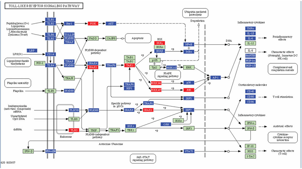 Fig. 2